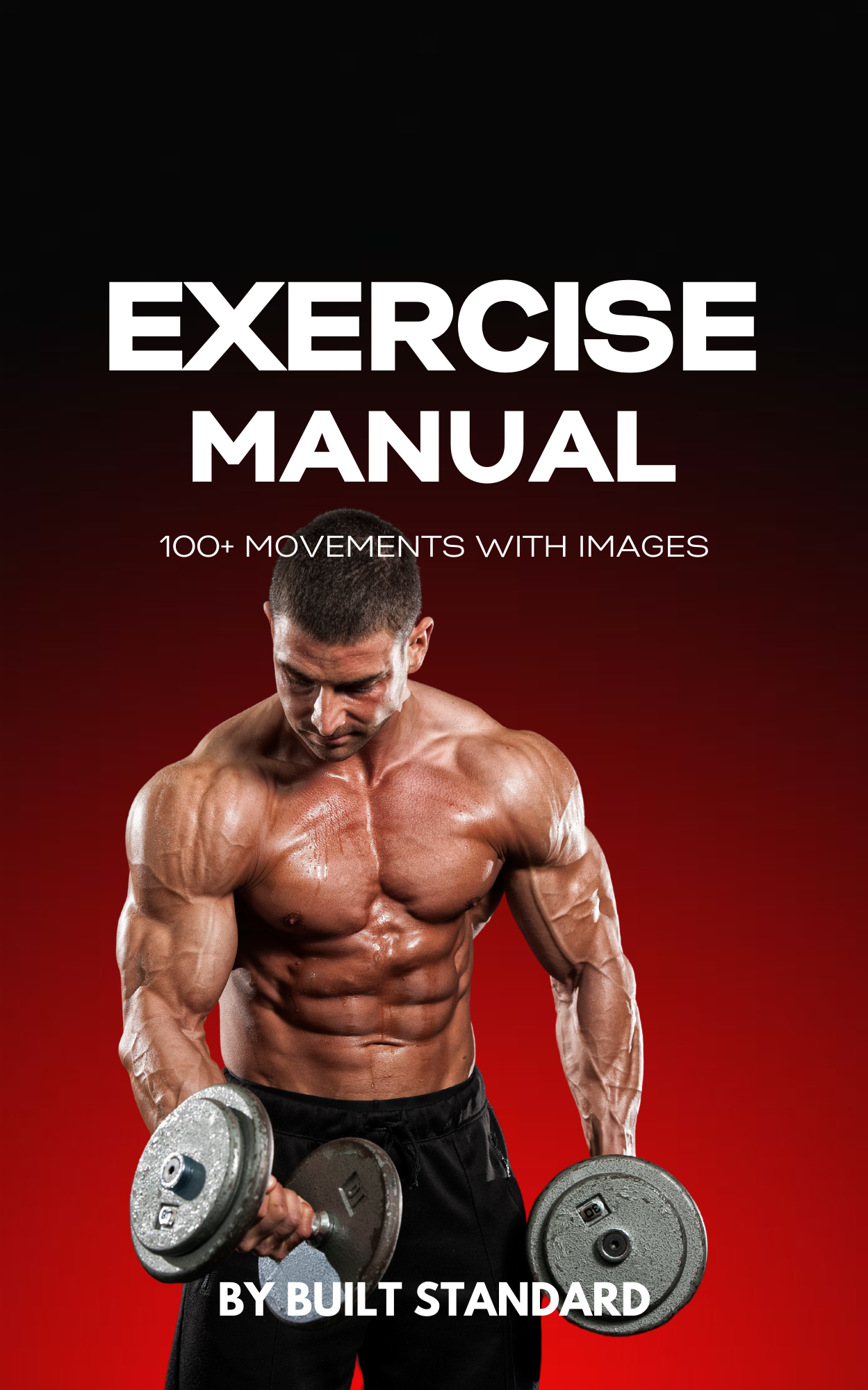 BUILT STANDARD - WORKOUT MANUAL